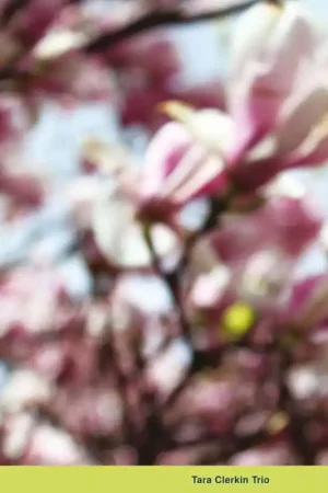 Reduced Price Tara Clerkin Trio - In Spring (LP)