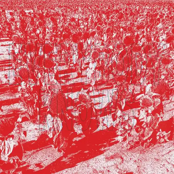 Bony King of Nowhere - Everybody Knows (LP) Luxury