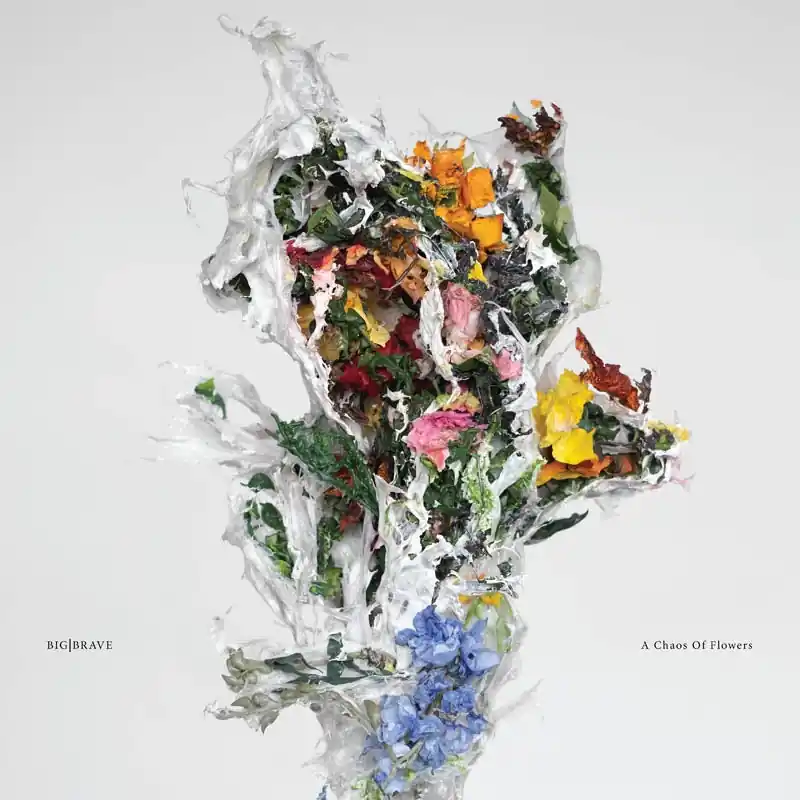 Big Brave - A Chaos of Flowers (LP) Deal