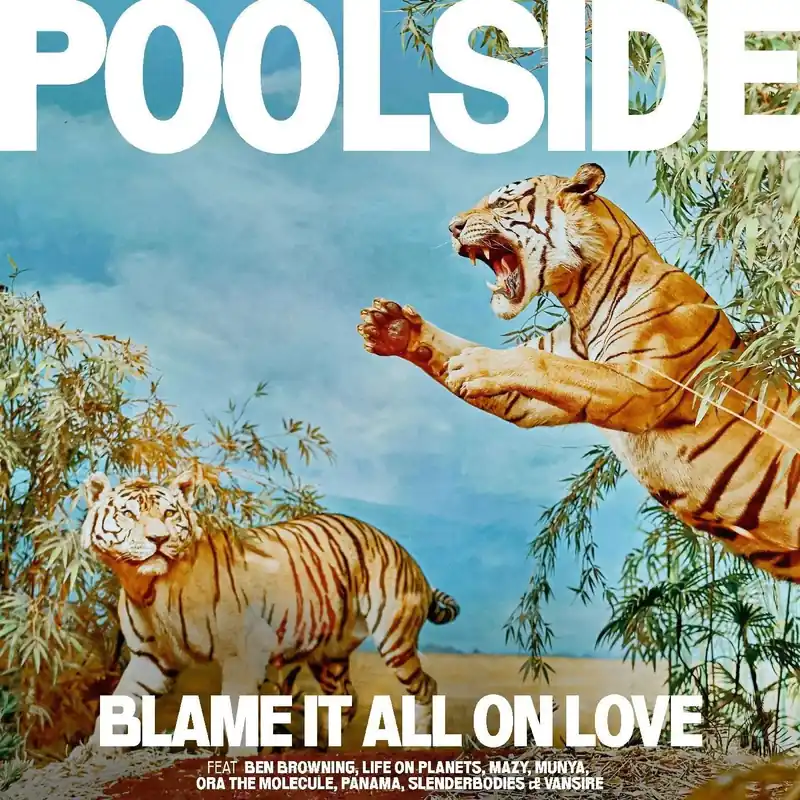 Limited Time Poolside - Blame It All On Love (LP)
