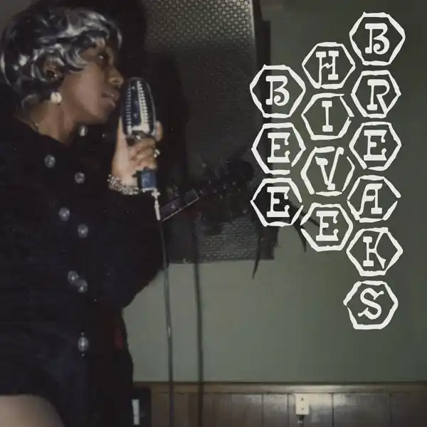 Limited Offer V/A - Beehive Breaks (LP)