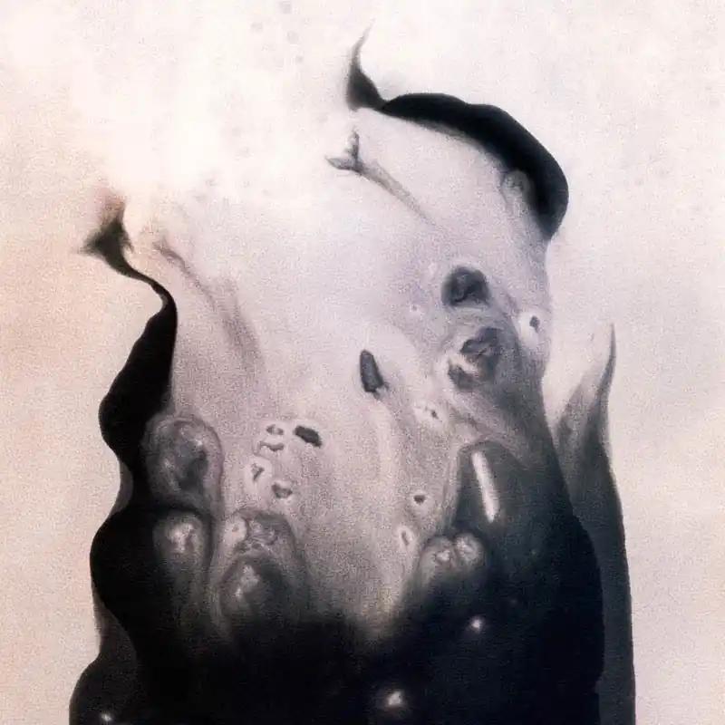 Wholesale Marla Hansen - Salt (LP)
