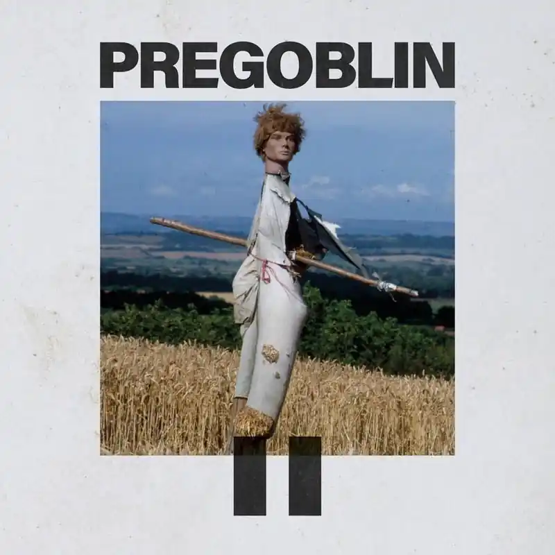 Buy Online Pregoblin - Pregoblin Ii (LP)