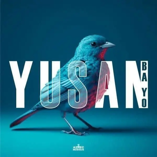 Money Back Guarantee Yusan - Ba Yo (LP)