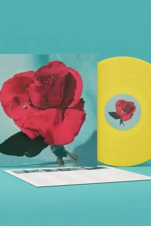 Don’t Miss Out Metz - Up On Gravity Hill (LP)