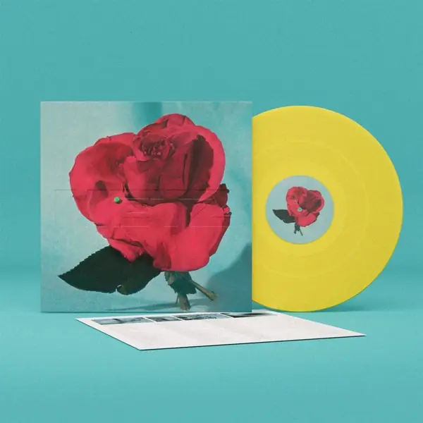Don’t Miss Out Metz - Up On Gravity Hill (LP)