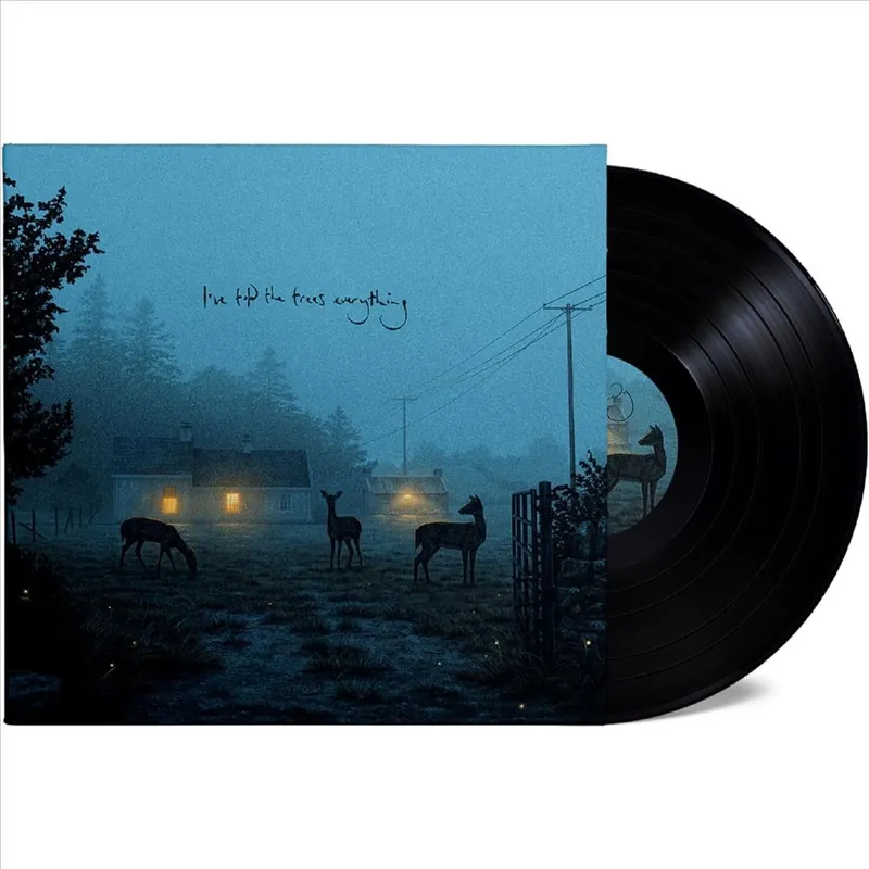 Instant Buy Dermot Kennedy - I've Told the Trees Everything (Single)