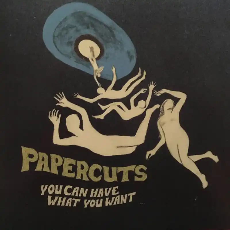 Authentic Papercuts - You Can Have What You Want (LP)
