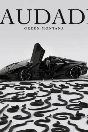 Green Montana - Saudade (LP) Flash Sale