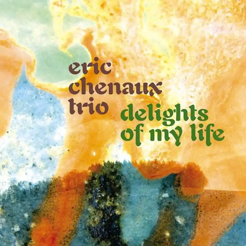 Secure Checkout Eric Chenaux - Delights of My Life (LP)