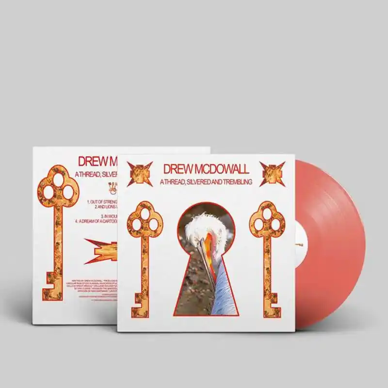 Drew McDowall - A Thread, Silvered and Trembling (LP) Professional Grade