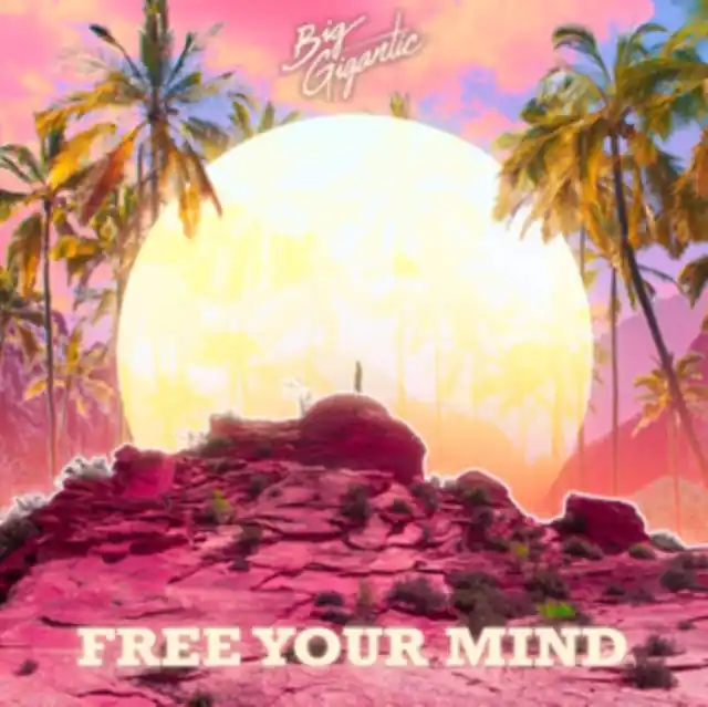 Special Discount BIG GIGANTIC - FREE YOUR MIND (2LP/140G/COLOR VINYL/6 MM SPINE/DL CARD) (Vinyl LP)