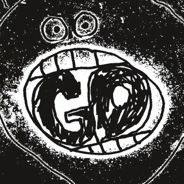 MUIR,LENA - GO (Vinyl LP) Express Delivery