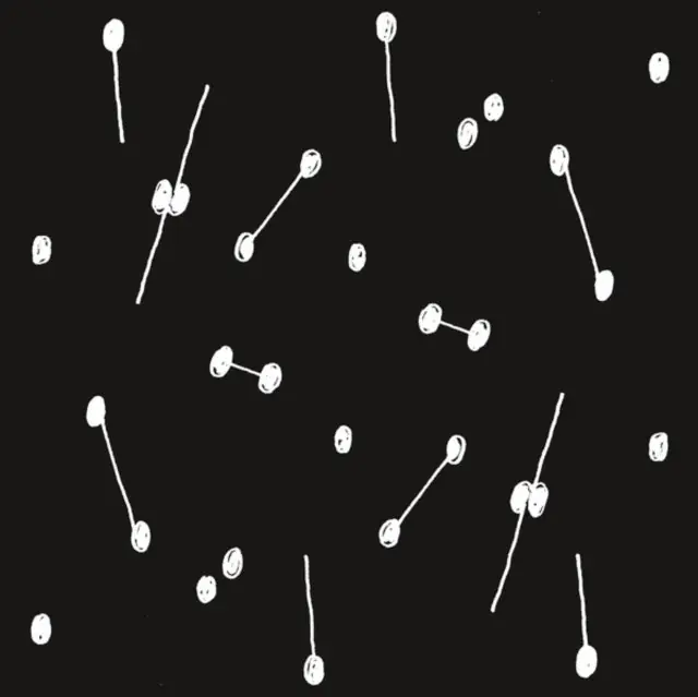 BRIKHA,ARIL - DANCE OF A TRILLION STARS (Vinyl LP) Certified
