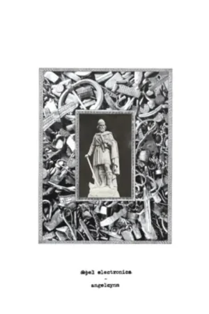 AEPEL ELECTRONICS - ANGELCYNN (Vinyl LP) Super Sale