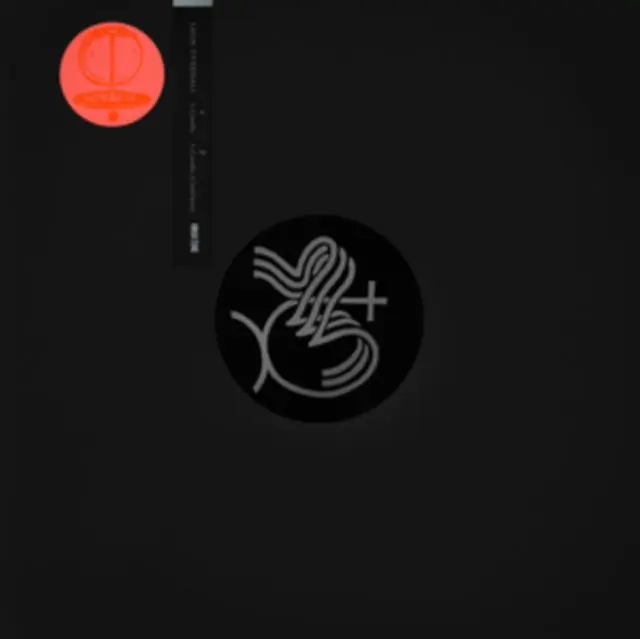 VYNEHALL,LEON - I, CAVALLO (140G/DL CARD) (Vinyl LP) Bulk Order