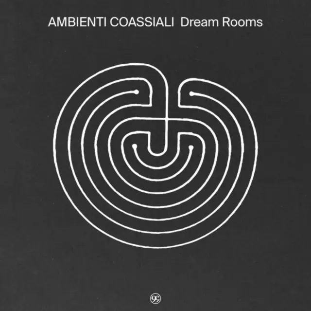 AMBIENTI COASSIALI - DREAM ROOMS (Vinyl LP) Wholesale
