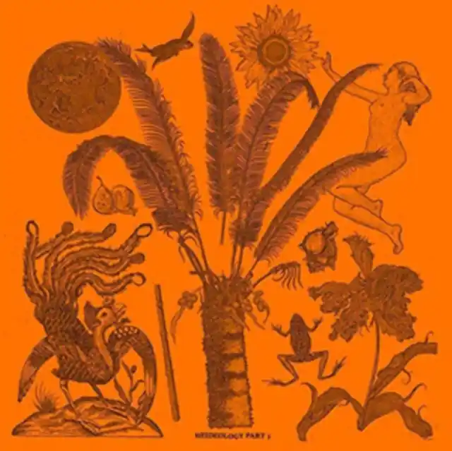 Budget VARIOUS ARTISTS - HEIDEOLOGY PART 1 (Vinyl LP)