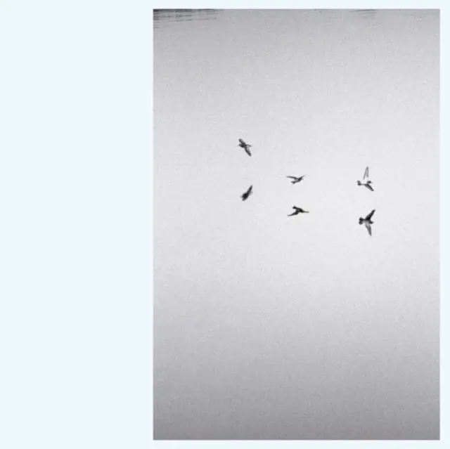 Modern BARLEY,KIRK - LANDSCAPES (Vinyl LP)