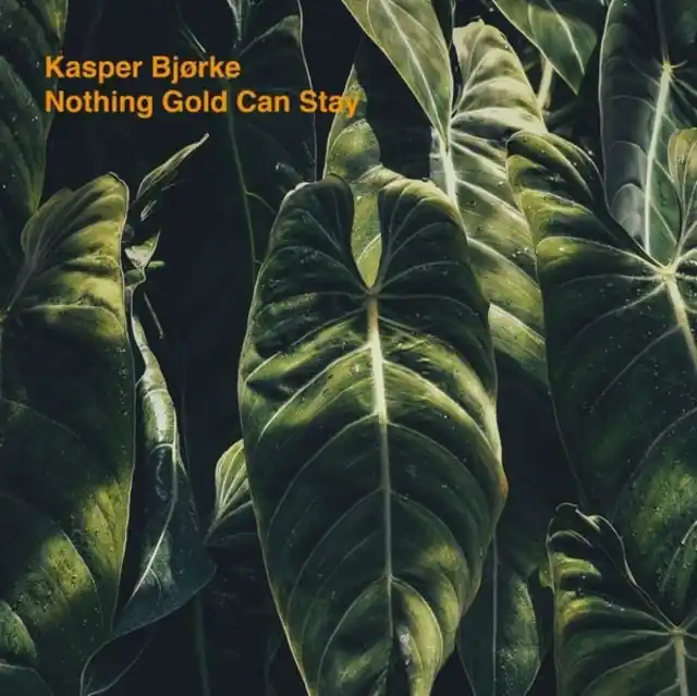 Hassle-Free Returns BJORKE,KASPER - NOTHING GOLD CAN STAY (Vinyl LP)