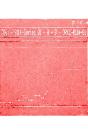 386I - ORKL-0114 SERIES 01 (Vinyl LP) Today Only