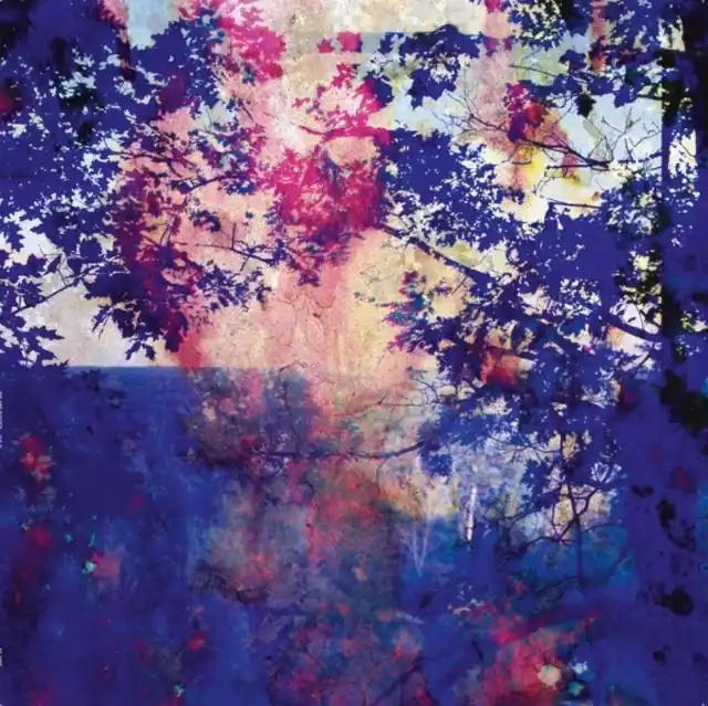 Hot Picks BUCHER,ROLAND - VIAJE (Vinyl LP)