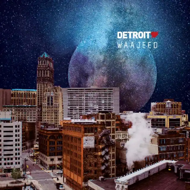 WAAJEED - DETROIT LOVE VOL. 3 (Vinyl LP) Trusted Brand