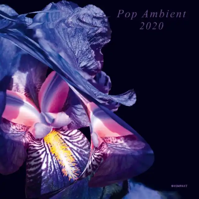 Order Now VARIOUS ARTISTS - POP AMBIENT 2020 (Vinyl LP)