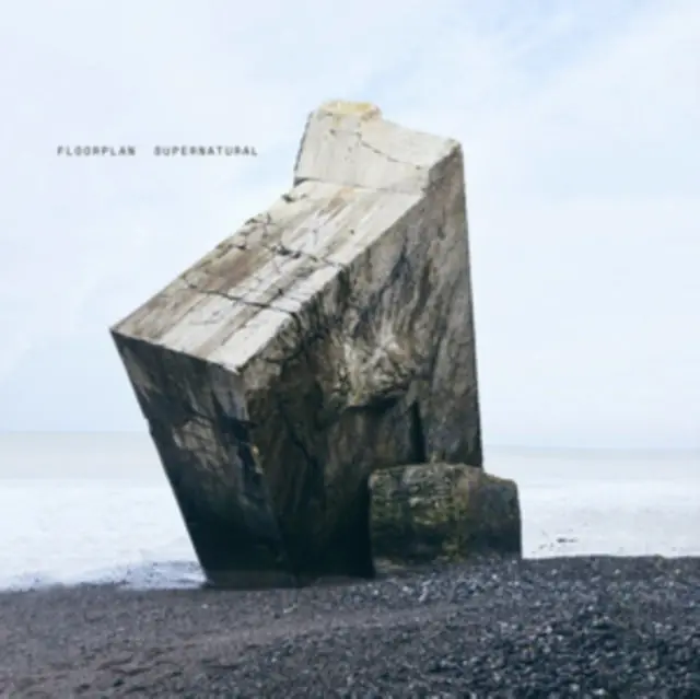FLOORPLAN - SUPERNATURAL (2LP/DL CARD) (Vinyl LP) Direct From Factory