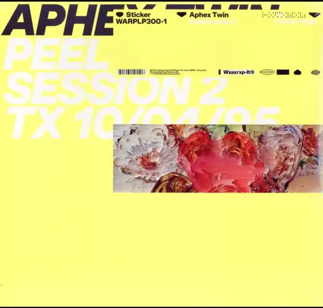 Today Only APHEX TWIN - PEEL SESSION 2 (DL CARD) (Vinyl LP)