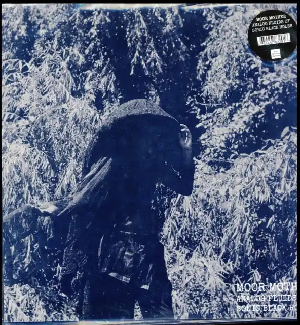 MOOR MOTHER - ANALOG FLUIDS OF SONIC BLACK HOLES (DL CARD) (Vinyl LP) Professional Grade