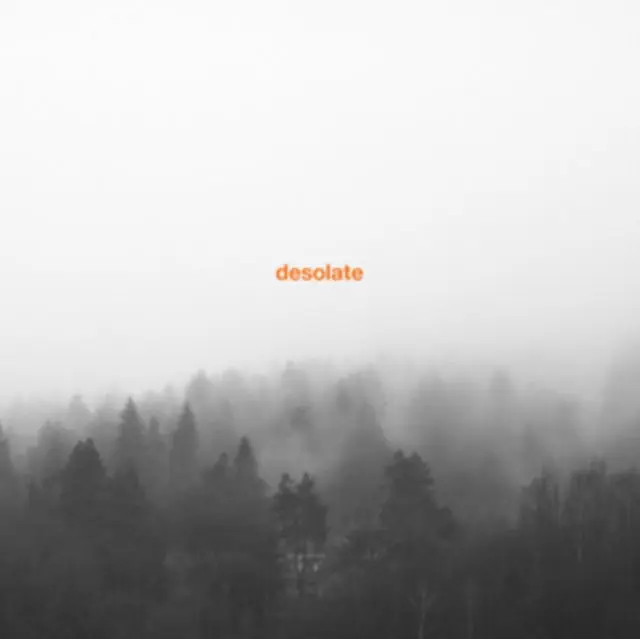 DESOLATE - EXCEPTIONALISM (Vinyl LP) In Demand