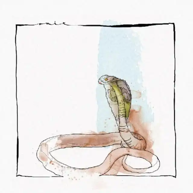 MAYER,DAVID - SKANDA EP (Vinyl LP) Save Now