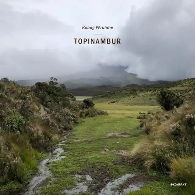 Deal WRUHME,ROBAG - TOPINAMBUR (Vinyl LP)
