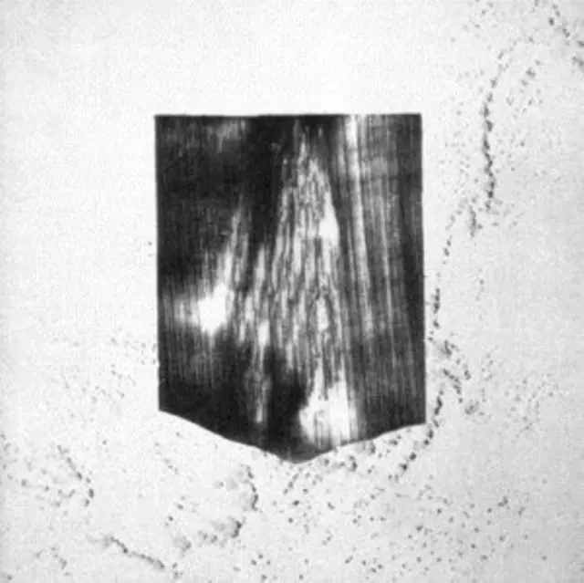 Budget ROBEDOOR - NEGATIVE LEGACY (Vinyl LP)
