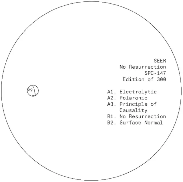 SEER - NO RESURRECTION (Vinyl LP) Hassle-Free Returns