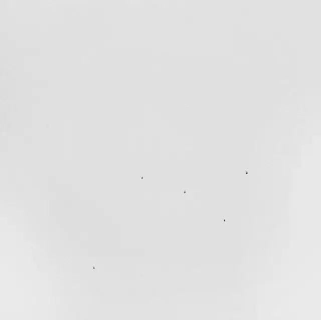 ANDERSON-KUNERT,TODD - CONJECTURES (Vinyl LP) Next Day Delivery