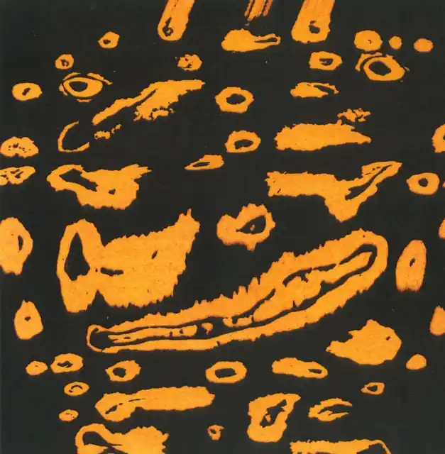 MONOLOG; PULSEWIDTHMOD - OUMUAMA / PERCEPTION IS THE KEY (Vinyl LP) Today Only