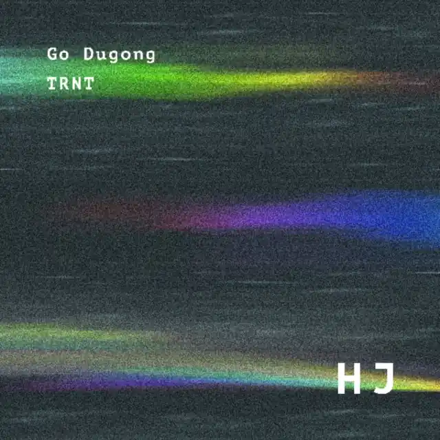 GO DUGONG - TRNT (Vinyl LP) Big Sale