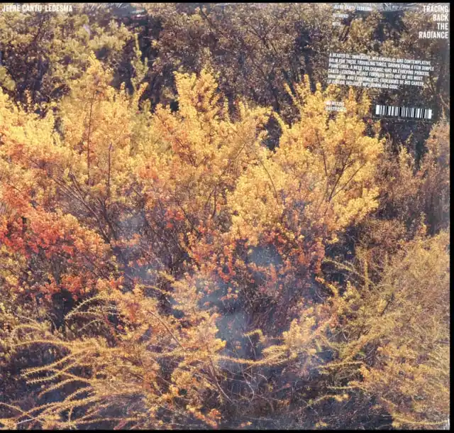 Latest CANTU-LEDESMA,JEFRE - TRACING BACK THE RADIANCE (Vinyl LP)
