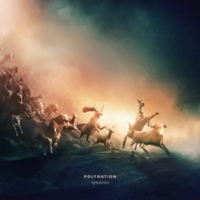 Time-Limited POLYNATION - IGNEOUS (Vinyl LP)