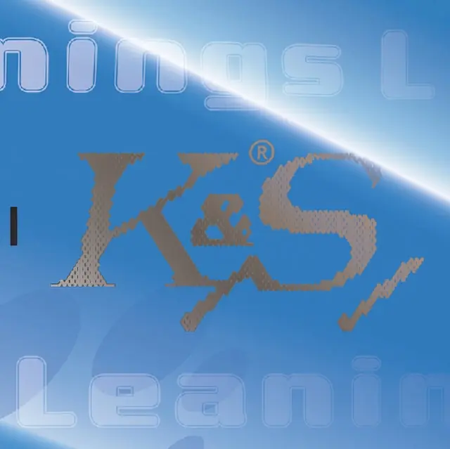 Buy Online KASPI & STRIDE - LEANINGS (Vinyl LP)