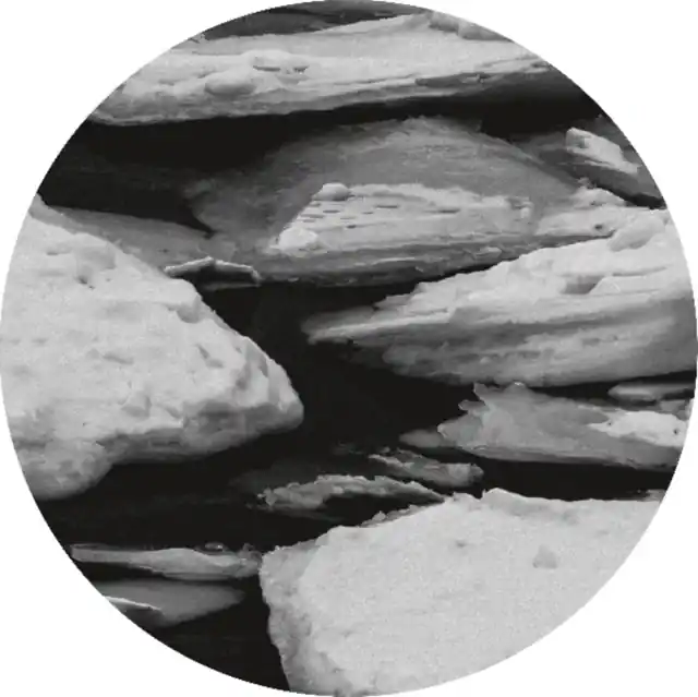 Must Have YWF - REPLACED EP (Vinyl LP)