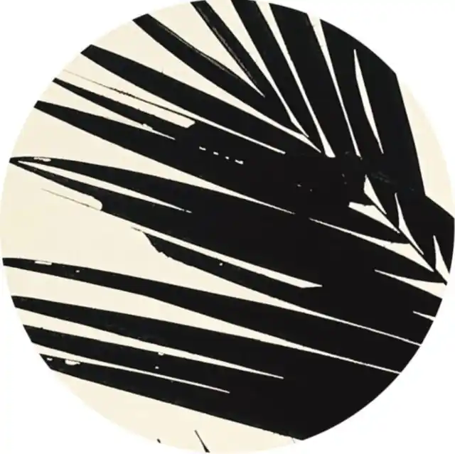 MSM AKA METROPOLITAN SOUL MUSEUM - TRAVELLERS EP (Vinyl LP) Best Seller
