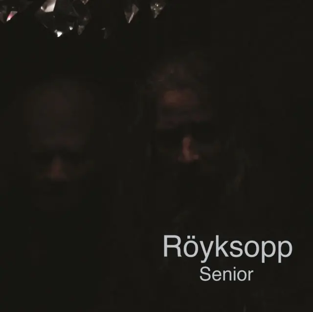 ROYKSOPP - SENIOR (Vinyl LP) Free Returns