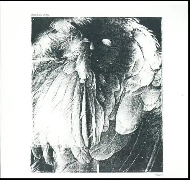 CRISCI,DOMENICO - VELVET (Vinyl LP) Final Sale