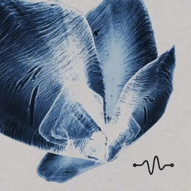 VARIOUS ARTISTS - OSCILLATE TRACKS 002 (Vinyl LP) Direct From Factory
