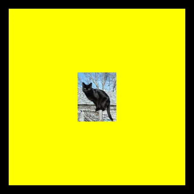 PITTO - PANTHERS ON THE ROOF (Vinyl LP) Original