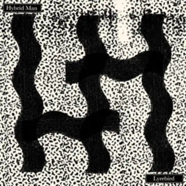 Factory Price HYBRID MAN - LYREBIRD (IMPORT) (Vinyl LP)