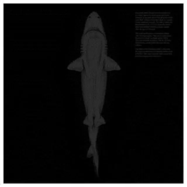 Top Pick DOTDOTDOT - NO TITLE (IMPORT) (Vinyl LP)